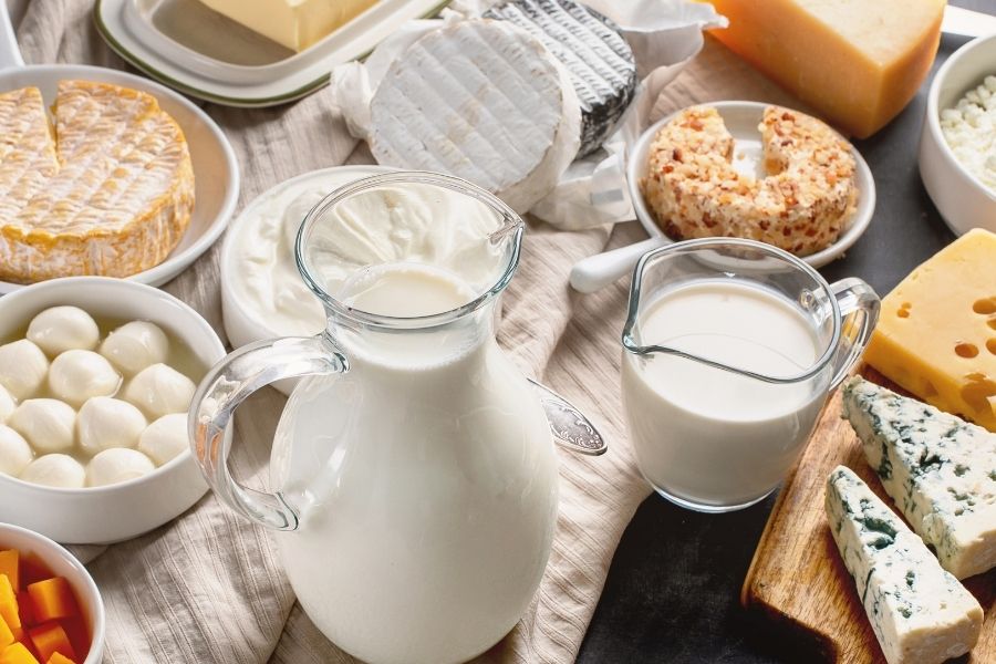 different dairy products