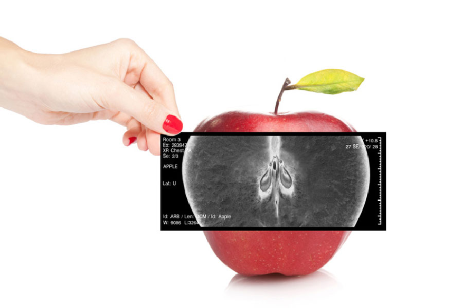 inspecting apple through an x ray