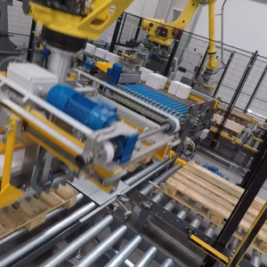 Mi Pal Industrial Palletizers - TDI Packsys powered by IPLA