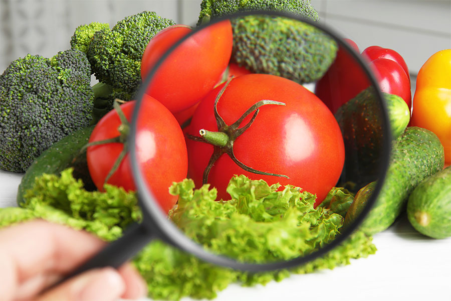 magnifying glass exploring vegetables