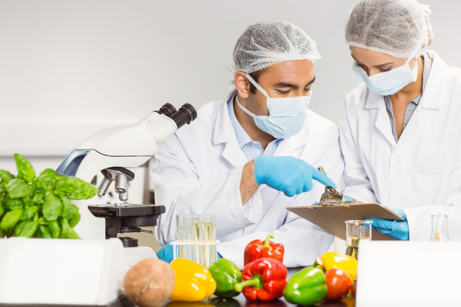 food scientists examining food