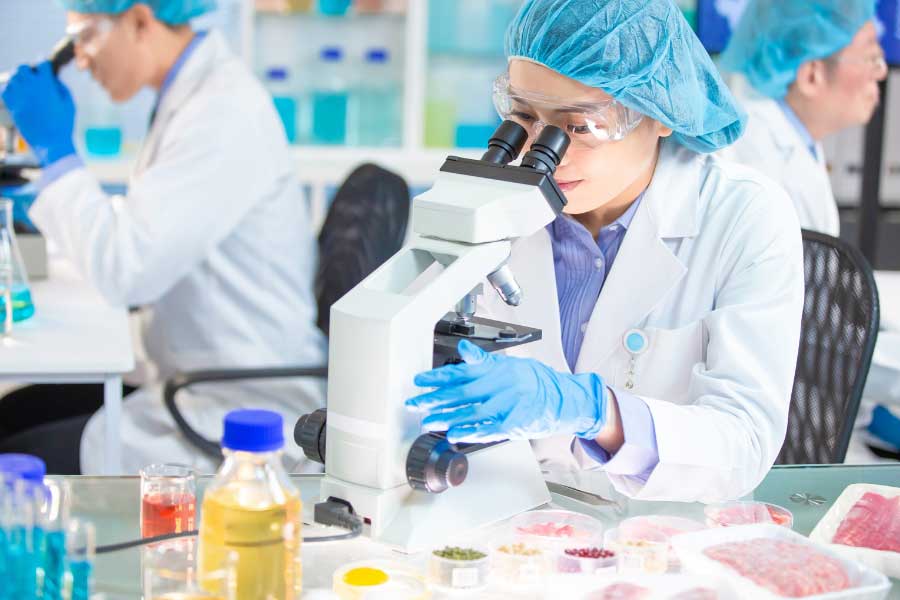 scientists examining food for food safety
