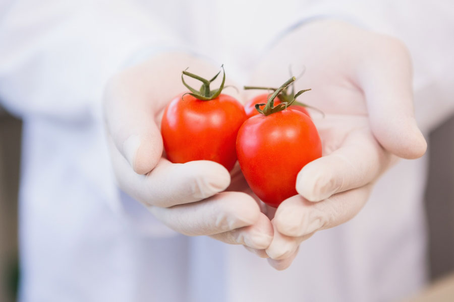 worker in uniform holding tomatoes