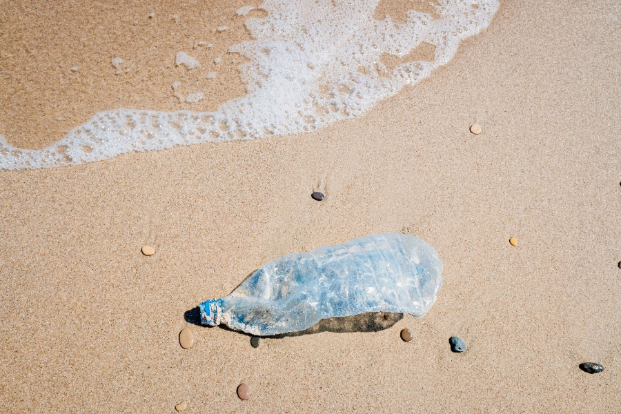 abandoned plastic bottle on the shore