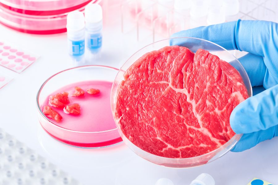 holding a meat sample for testing