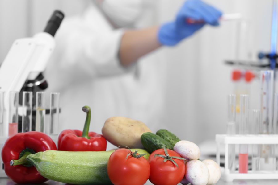 fresh vegetables on table in laboratory for food inspection