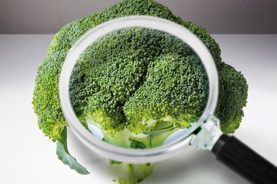 broccoli seen through magnifying glass