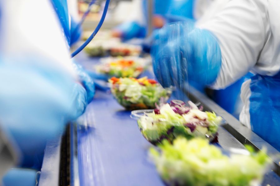 workers on production line at food processing plant