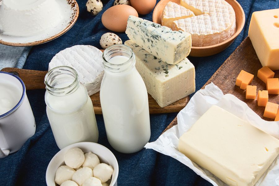 different types of fresh dairy products