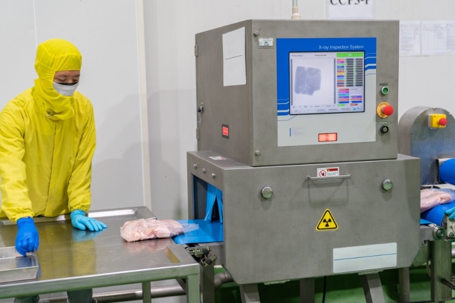 chicken meat going through x-ray inspection