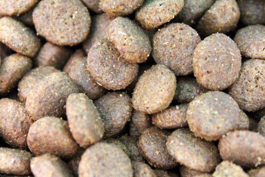 dog kibbles