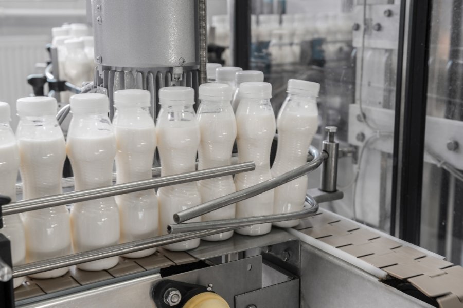 milk bottles in a conveyor