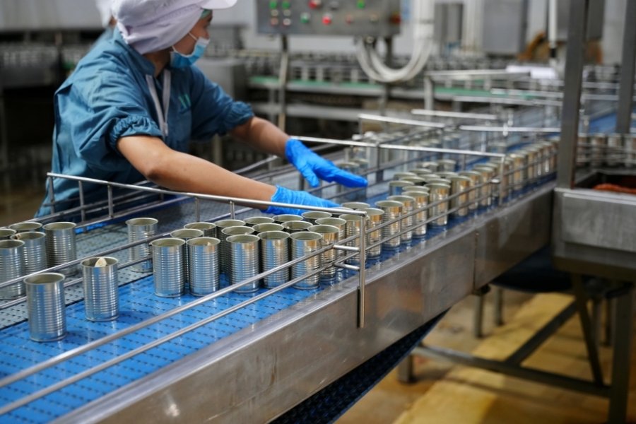 operator checking food conveyor line